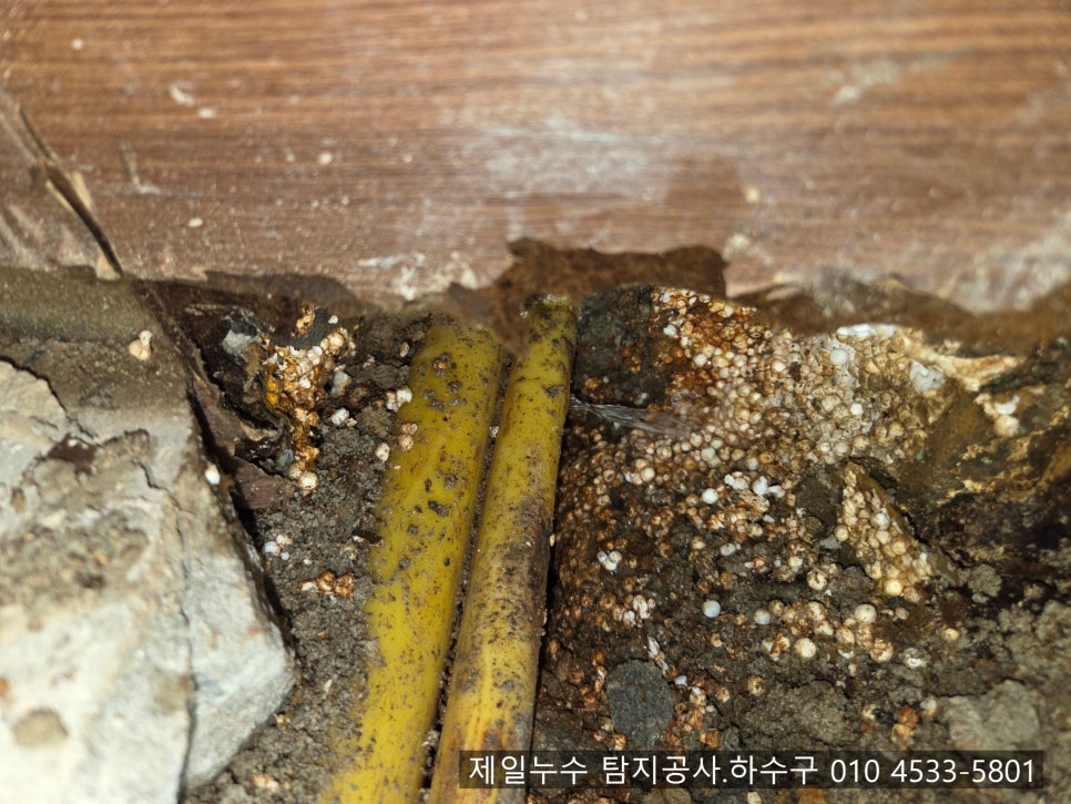 선산누수