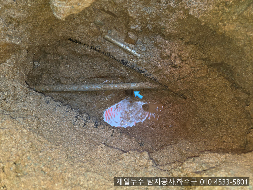 SE-f5731d22-0362-43ec-bf40-848ec85fa568