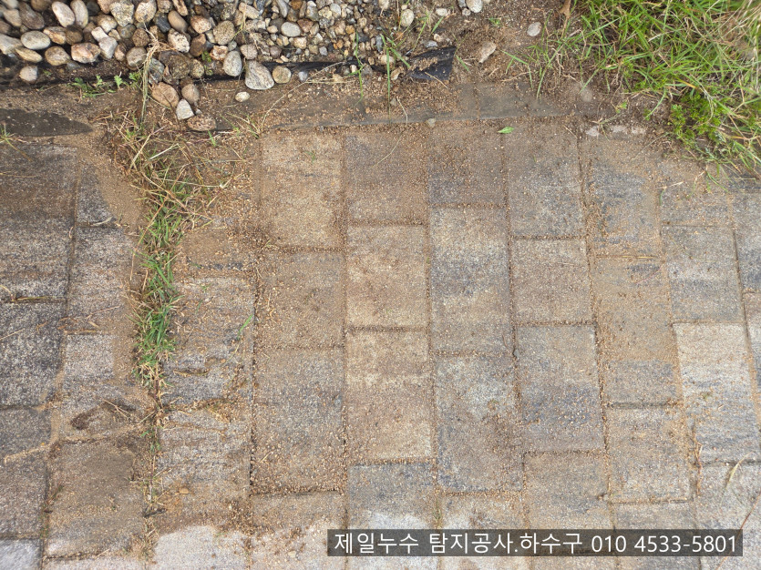 SE-f8ad3f14-0149-4d98-9dda-3370e9dec5dc